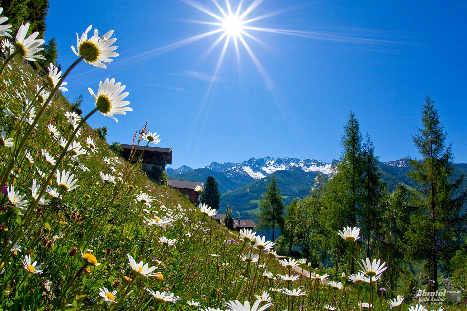 Das Ahrntal... auf der Sonnenseite der Alpen